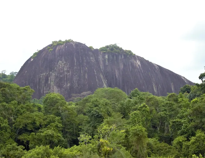Waarom reizen naar Suriname?